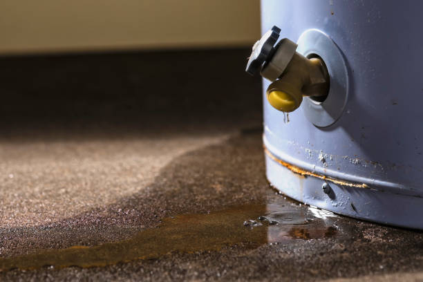 Best Ceiling water damage repair  in Osage, IA