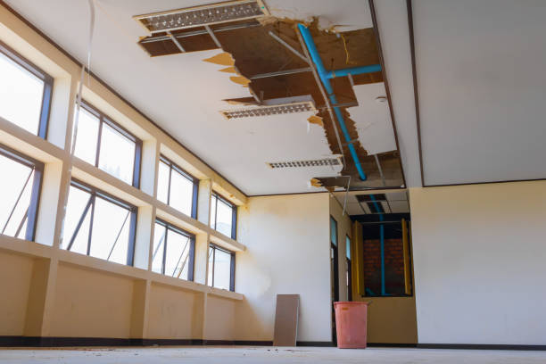 Best Local water damage restoration  in Osage, IA