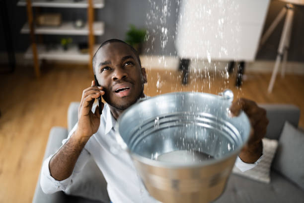 Best Flood damage cleanup  in Osage, IA