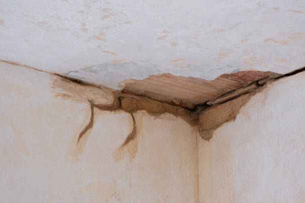 Best Flood restoration services  in Osage, IA