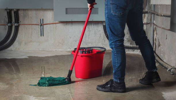 Best Residential water damage restoration  in Osage, IA
