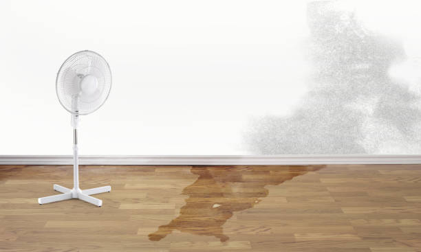 Sewage cleanup and water damage restoration in IA