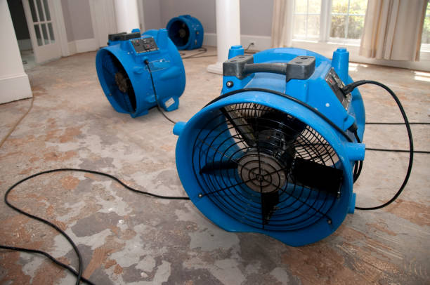 Best Residential water damage restoration  in Osage, IA