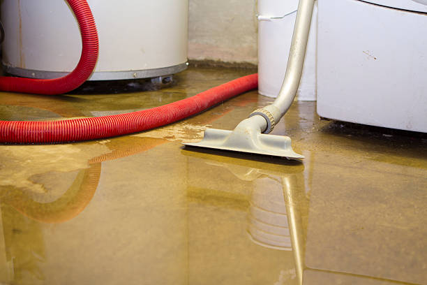 Best Ceiling water damage repair  in Osage, IA